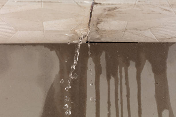 Professional Flood Damage Cleanup technician working in Meridian, TX